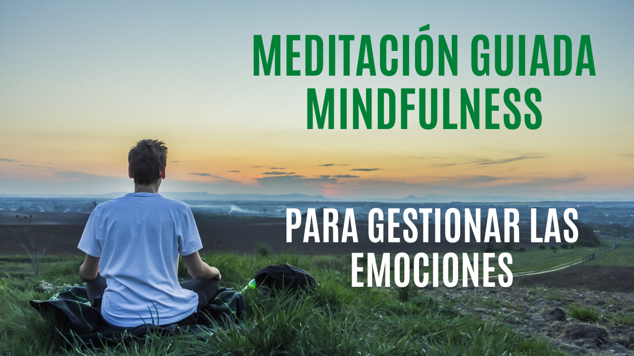 Meditaci N Guiada Mindfulness Acompa Amiento Y Mindfulness